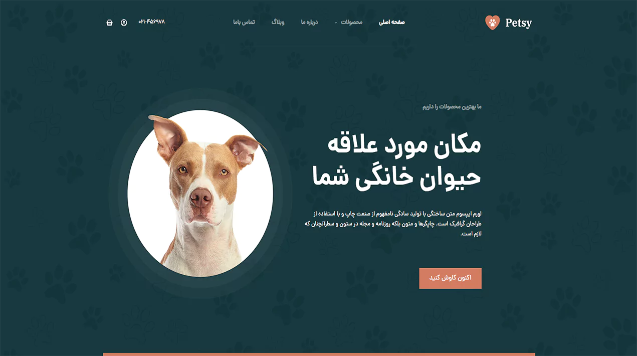 مشاهده دموی پتسی
